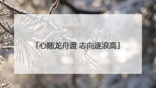 心随龙舟渡 志向逐浪高