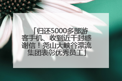 归还5000多部游客手机、收到近千封感谢信！尧山大峡谷漂流集团表彰优秀员工