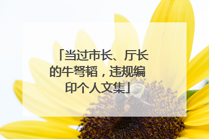当过市长、厅长的牛弩韬，违规编印个人文集
