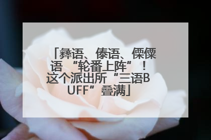 彝语、傣语、傈僳语 “轮番上阵”！这个派出所“三语BUFF”叠满