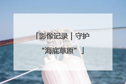 影像记录｜守护“海底草原”