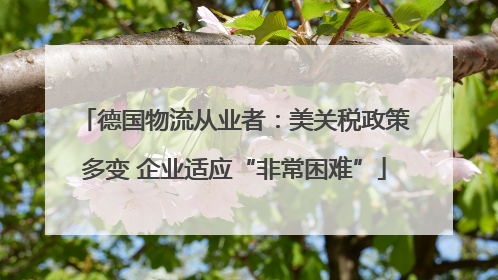 德国物流从业者：美关税政策多变 企业适应“非常困难”