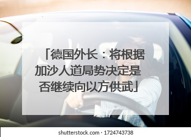 德国外长：将根据加沙人道局势决定是否继续向以方供武