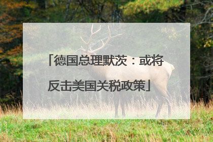 德国总理默茨：或将反击美国关税政策
