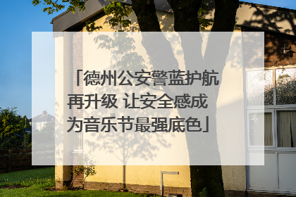 德州公安警蓝护航再升级 让安全感成为音乐节最强底色