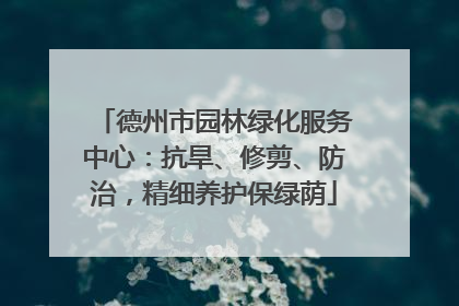 德州市园林绿化服务中心：抗旱、修剪、防治，精细养护保绿荫