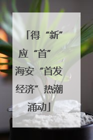 得“新”应“首” 海安“首发经济”热潮涌动