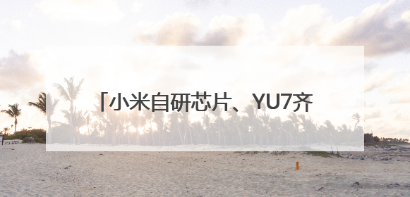 小米自研芯片、YU7齐发布！相关话题霸占热搜榜，雷军一夜涨粉超20万