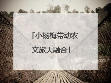 小杨梅带动农文旅大融合