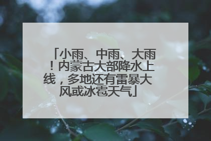 小雨、中雨、大雨！内蒙古大部降水上线，多地还有雷暴大风或冰雹天气