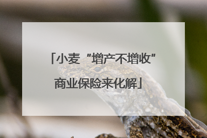 小麦“增产不增收” 商业保险来化解