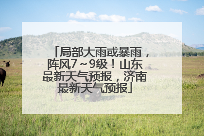 局部大雨或暴雨，阵风7～9级！山东最新天气预报，济南最新天气预报