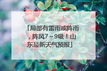 局部有雷雨或阵雨，阵风7～9级！山东最新天气预报