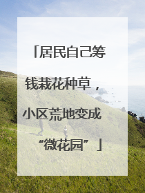 居民自己筹钱栽花种草，小区荒地变成“微花园”