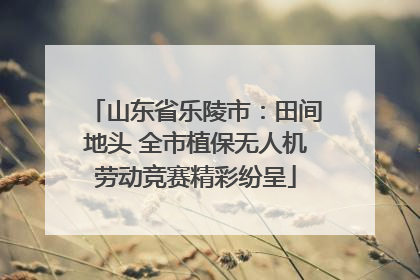 山东省乐陵市：田间地头 全市植保无人机劳动竞赛精彩纷呈