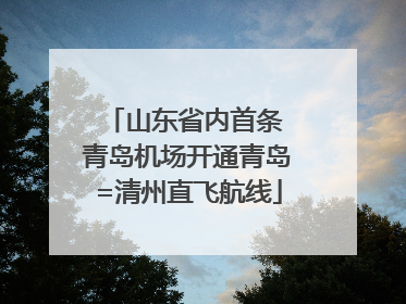 山东省内首条 青岛机场开通青岛=清州直飞航线