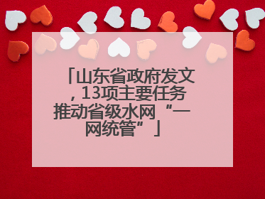 山东省政府发文，13项主要任务推动省级水网“一网统管”