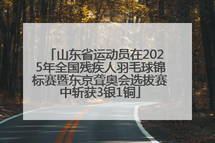 山东省运动员在2025年全国残疾人羽毛球锦标赛暨东京聋奥会选拔赛中斩获3银1铜