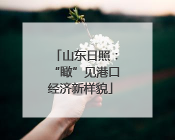 山东日照：“瞰”见港口经济新样貌