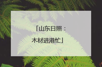 山东日照：木材进港忙
