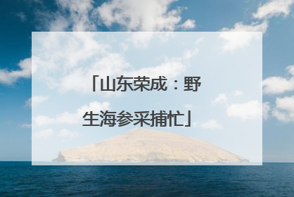 山东荣成：野生海参采捕忙