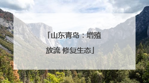 山东青岛：增殖放流 修复生态