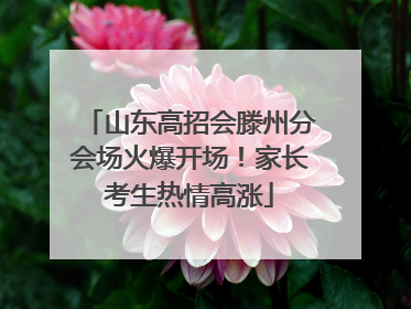 山东高招会滕州分会场火爆开场！家长考生热情高涨