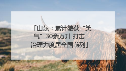 山东：累计缴获“笑气”30余万升 打击治理力度居全国前列