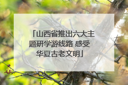山西省推出六大主题研学游线路 感受华夏古老文明