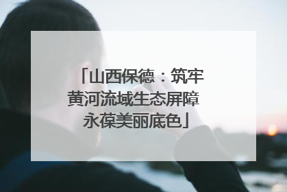 山西保德：筑牢黄河流域生态屏障 永葆美丽底色