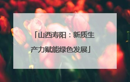 山西寿阳：新质生产力赋能绿色发展