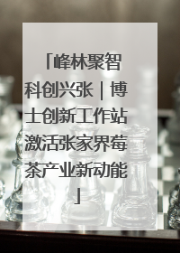 峰林聚智 科创兴张｜博士创新工作站激活张家界莓茶产业新动能