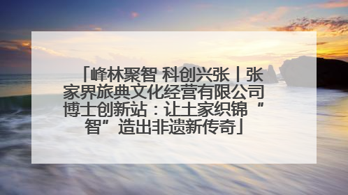 峰林聚智 科创兴张丨张家界旅典文化经营有限公司博士创新站：让土家织锦“智”造出非遗新传奇
