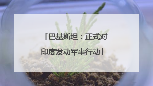 巴基斯坦：正式对印度发动军事行动