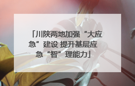 川陕两地加强“大应急”建设 提升基层应急“智”理能力
