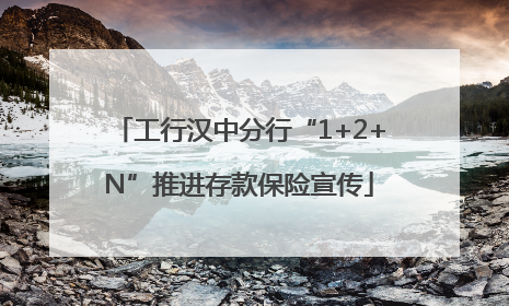 工行汉中分行“1+2+N”推进存款保险宣传