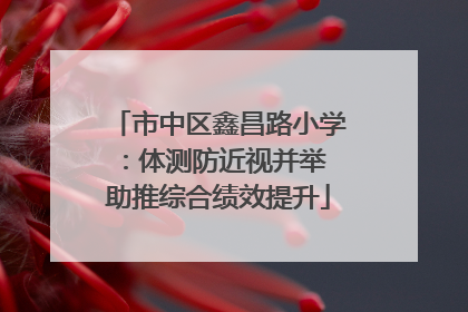 市中区鑫昌路小学：体测防近视并举 助推综合绩效提升