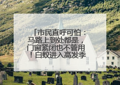 市民直呼可怕：马路上到处都是，门窗紧闭也不管用！白蚁进入高发季，但尚未达顶峰