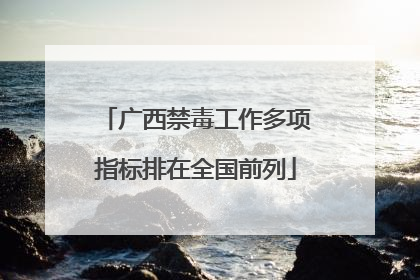 广西禁毒工作多项指标排在全国前列