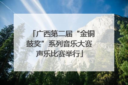 广西第二届“金铜鼓奖”系列音乐大赛声乐比赛举行