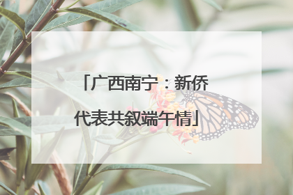 广西南宁：新侨代表共叙端午情