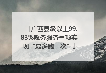 广西县级以上99.83%政务服务事项实现“最多跑一次”