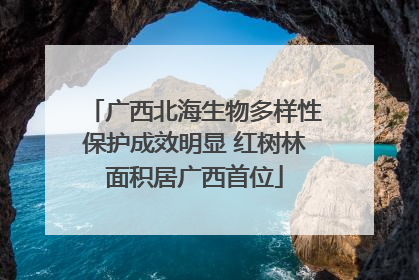 广西北海生物多样性保护成效明显 红树林面积居广西首位