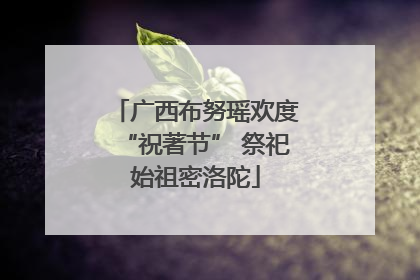 广西布努瑶欢度“祝著节” 祭祀始祖密洛陀