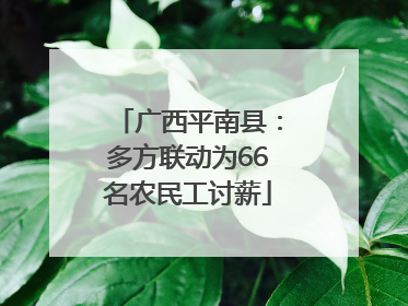 广西平南县：多方联动为66名农民工讨薪