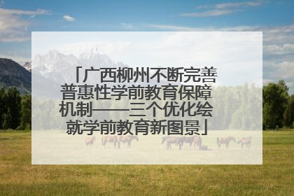 广西柳州不断完善普惠性学前教育保障机制——三个优化绘就学前教育新图景