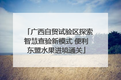 广西自贸试验区探索智慧查验新模式 便利东盟水果进境通关