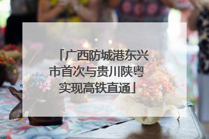 广西防城港东兴市首次与贵川陕粤实现高铁直通