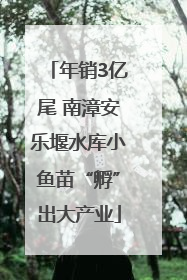 年销3亿尾 南漳安乐堰水库小鱼苗“孵”出大产业