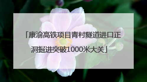 康渝高铁项目青村隧道进口正洞掘进突破1000米大关